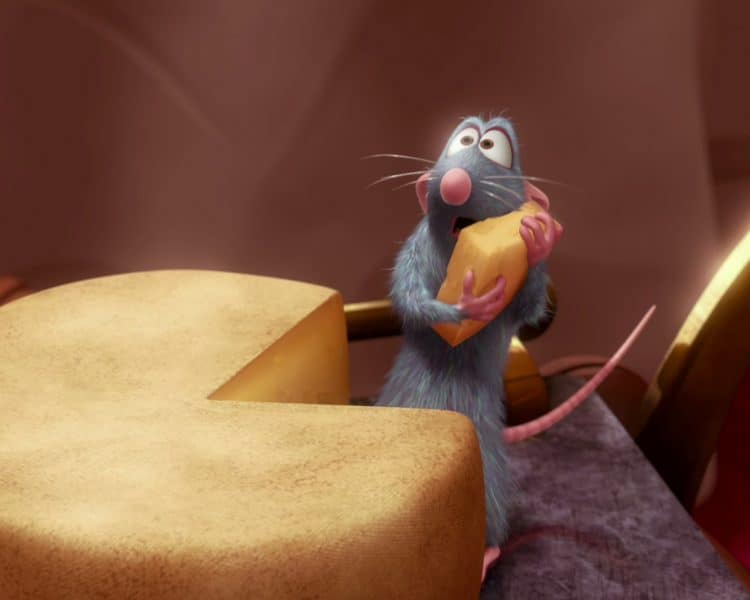 What Food Do Mice Find Irresistible!? Mouse Trap Guide