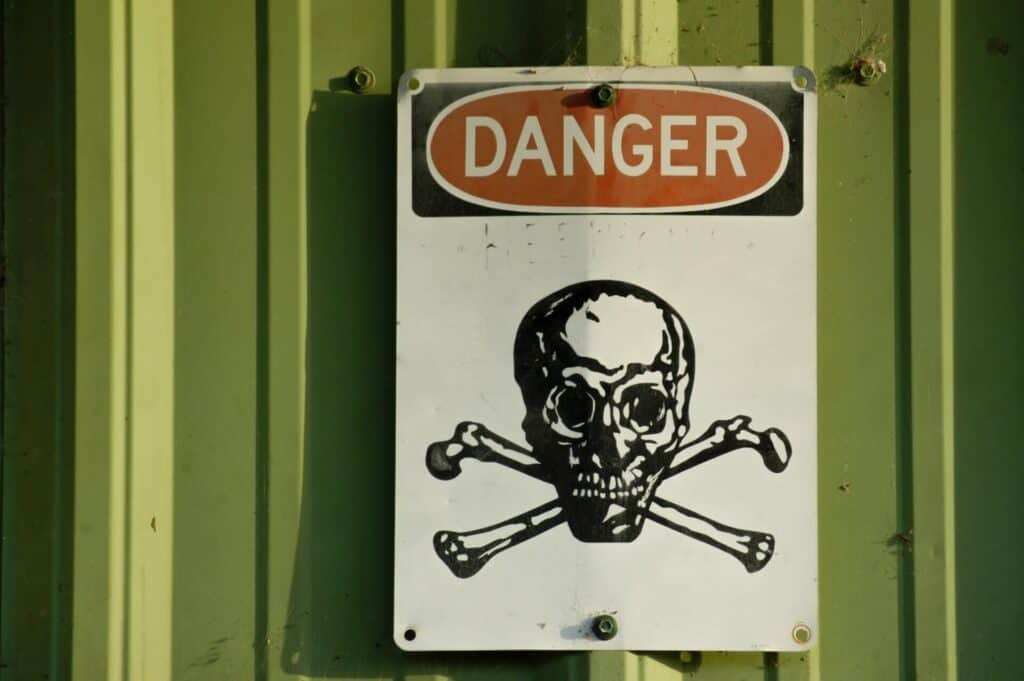 Mice Eating Poison But Not Dying? Find Out Why! Mouse Trap Guide